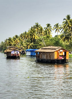 Alleppey Kackwater