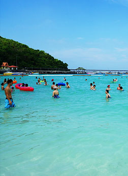 Coral Island