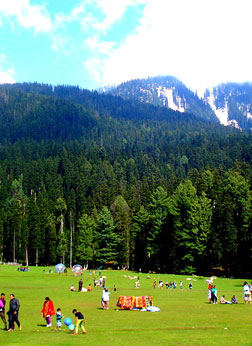kashmir